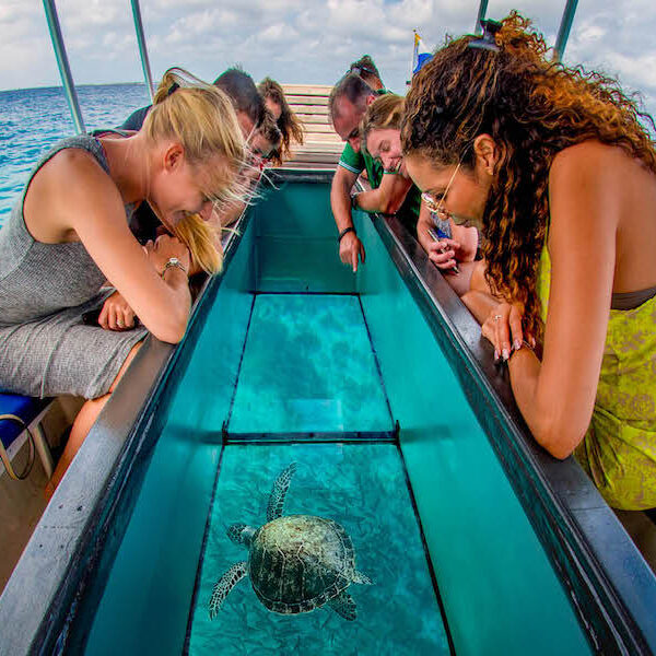 Egypt top travel Glass bottom boat excursion Sharm el sheikh