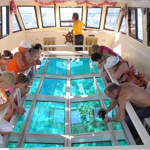 Egypt top travel Glass bottom boat excursion Sharm el sheikh