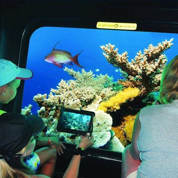 Egypt top travel Submarine Sea scope in Sharm El Sheikh