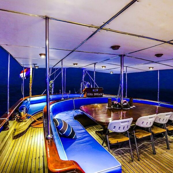 Egypt top travel sina dream party & dinner