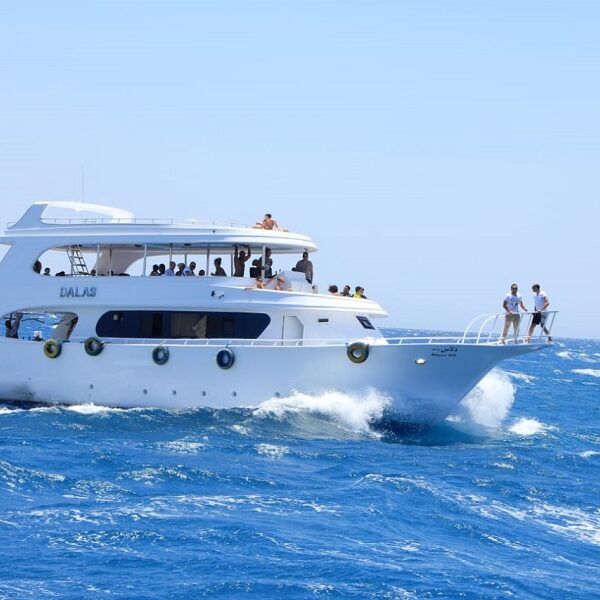 tiran island snorkelling and diving boat trip full day with lunch