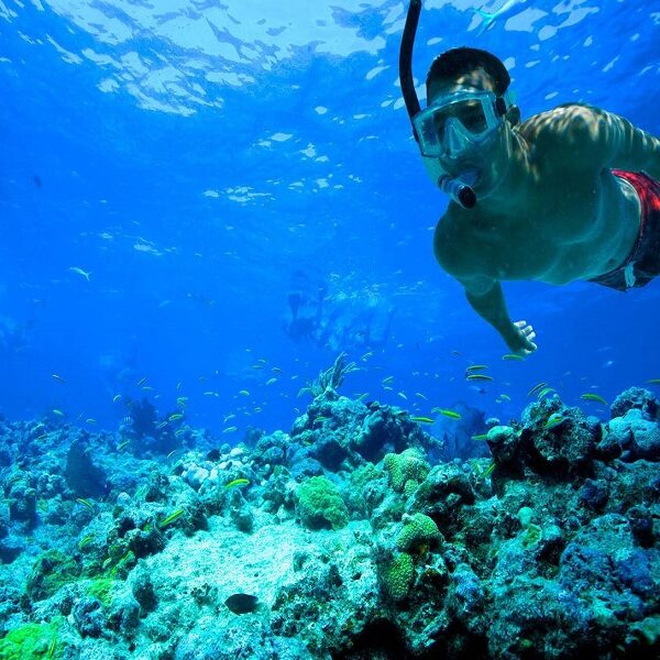 tiran island snorkelling and diving boat trip full day with lunch