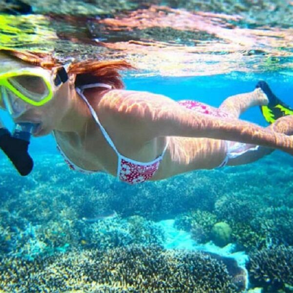 tiran island snorkelling and diving boat trip full day with lunch