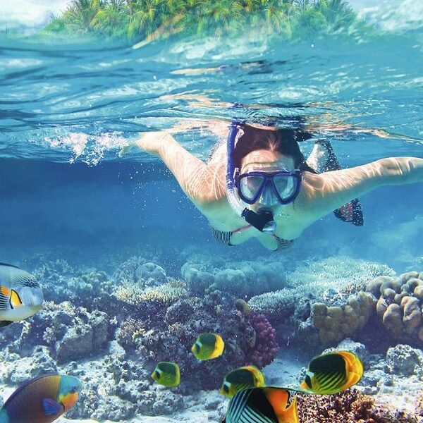 tiran island snorkelling and diving boat trip full day with lunch