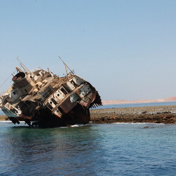 tiran island snorkelling and diving boat trip full day with lunch