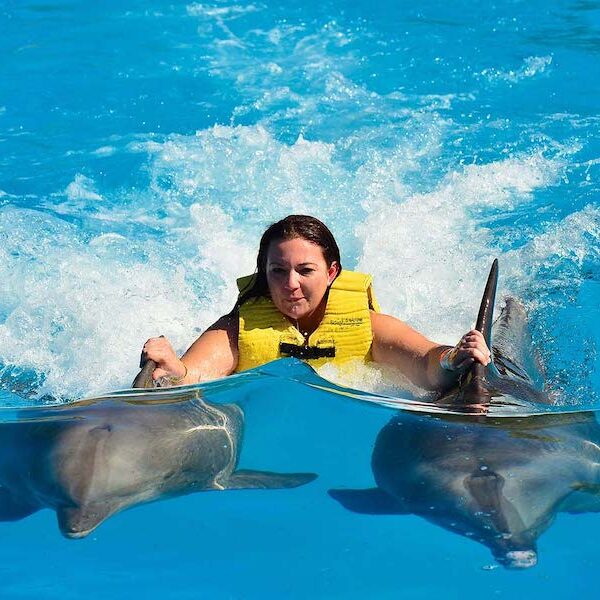 Egypt top travel swimming with dolfins