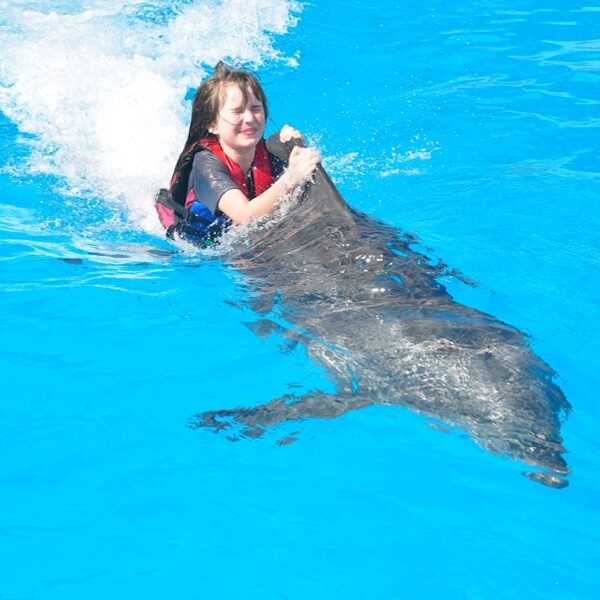 Egypt top travel swimming with dolfins