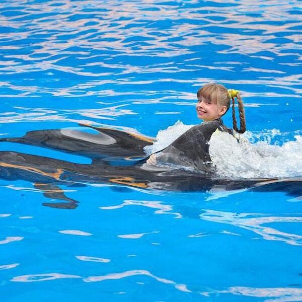 Egypt top travel swimming with dolfins