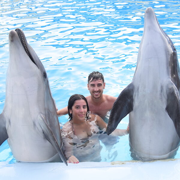 Egypt top travel swimming with dolfins