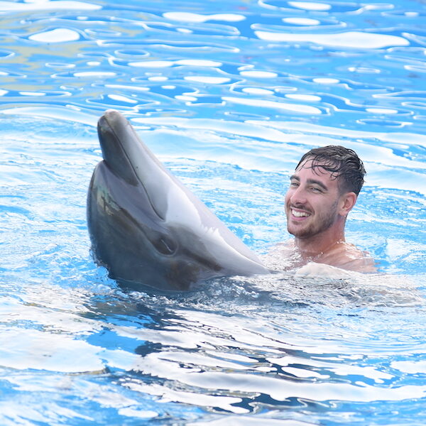 Egypt top travel swimming with dolfins