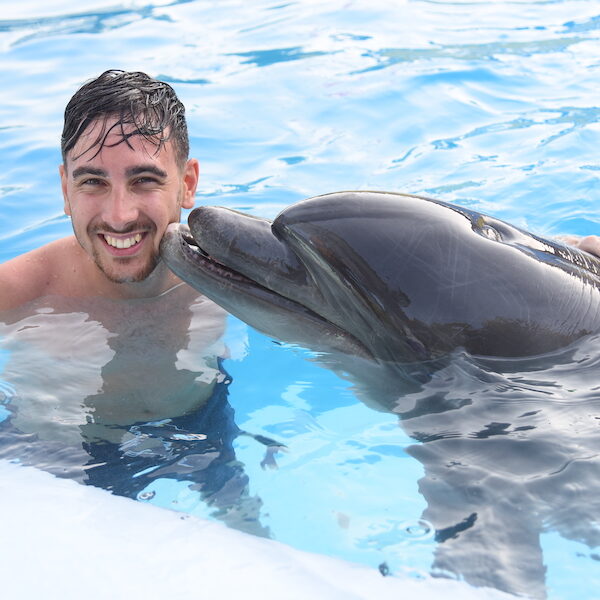 Egypt top travel swimming with dolfins