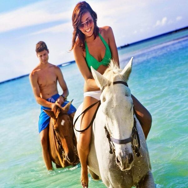 Egypt top travel horse ride the beach in national park nabq