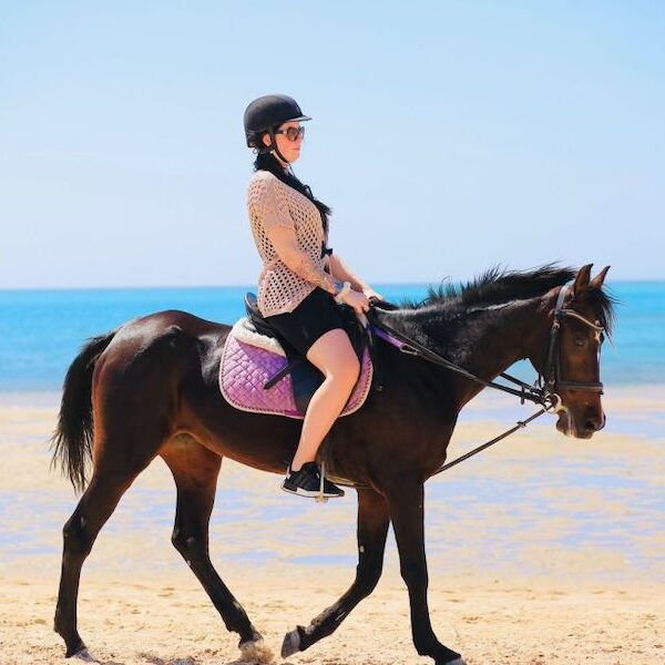 Egypt top travel horse ride the beach in national park nabq