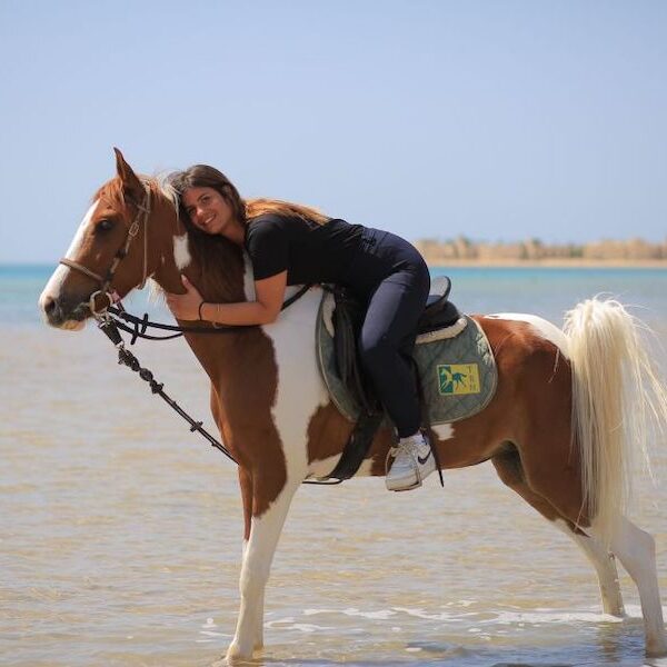 Egypt top travel horse ride the beach in national park nabq