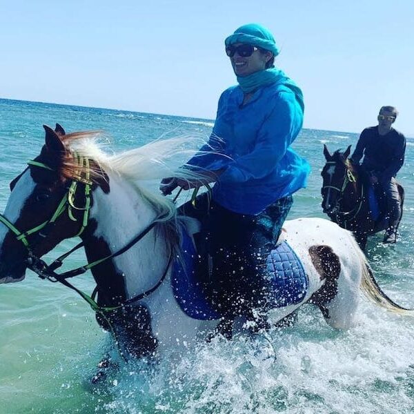 Egypt top travel horse ride the beach in national park nabq
