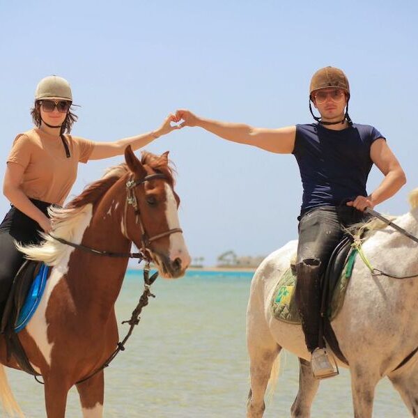 Egypt top travel horse ride the beach in national park nabq
