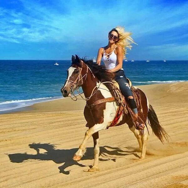 Egypt top travel horse ride the beach in national park nabq