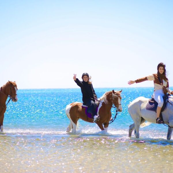 Egypt top travel horse ride the beach in national park nabq
