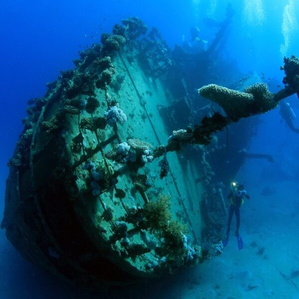 Egypt top travel SS Thistelgorm wreck diving from Sharm el Sheikh