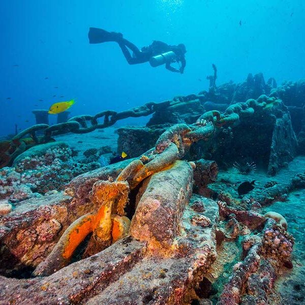 Egypt top travel SS Thistelgorm wreck diving from Sharm el Sheikh
