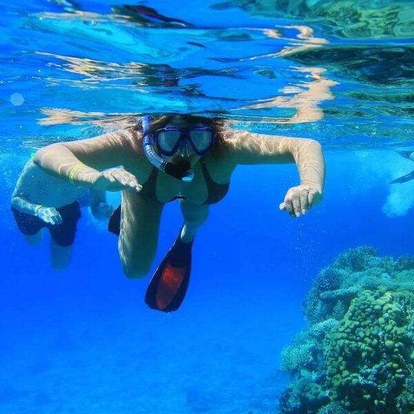 Egypt top travel Speed Boat Private in Sharm El Sheikh