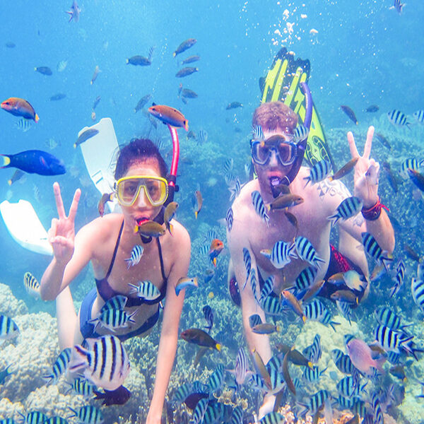 Egypt top travel sin dream party & dinner 101