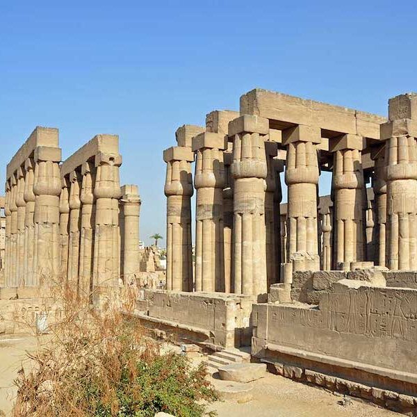 Egypt top travel luxor from sharm ( Vally of the king , queen Hatshepsut, karnak , Memnon Colossi )