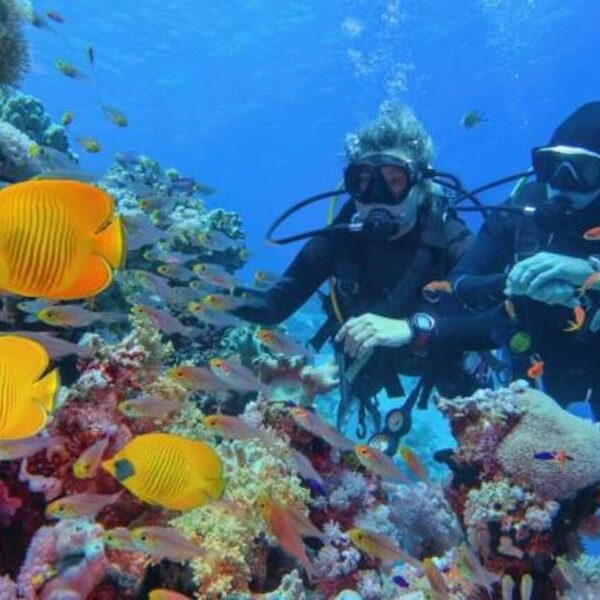Egypt top travel course padi open water in Sharm el sheikh