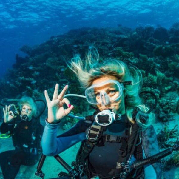 Egypt top travel course padi open water in Sharm el sheikh