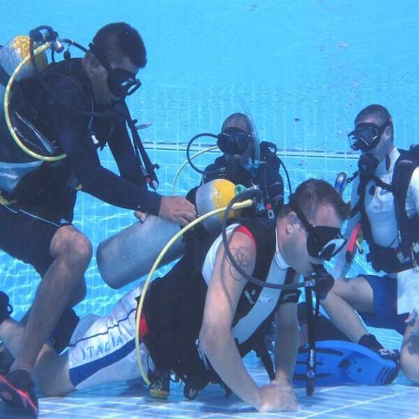 Egypt top travel course padi open water in Sharm el sheikh