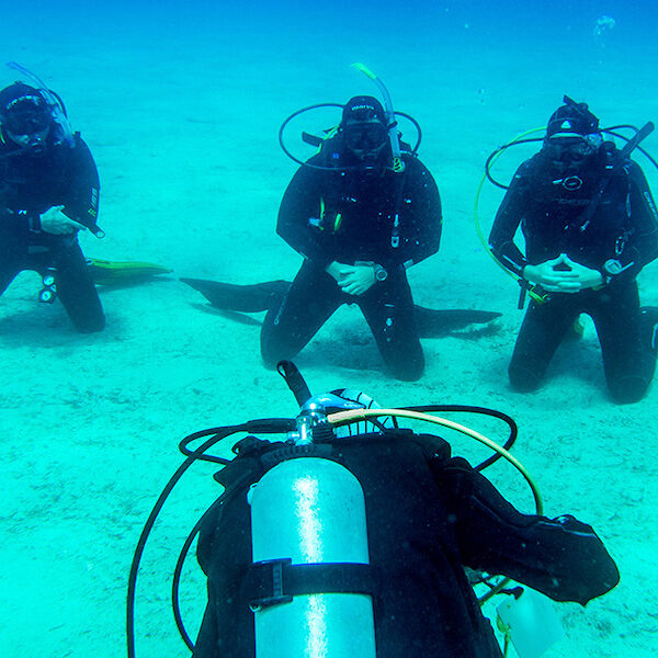 Egypt top travel course padi open water in Sharm el sheikh