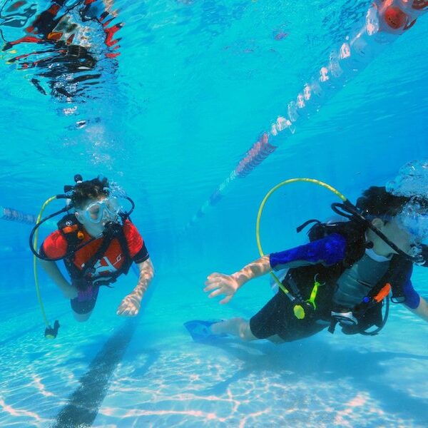 Egypt top travel course padi open water in Sharm el sheikh