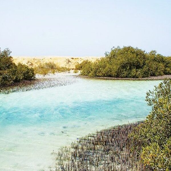 Ras Mohamed by bus half day Egypt top travel