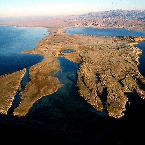 Ras Mohamed by bus half day Egypt top travel