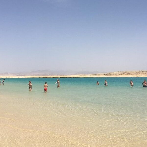 Ras Mohamed by bus half day Egypt top travel