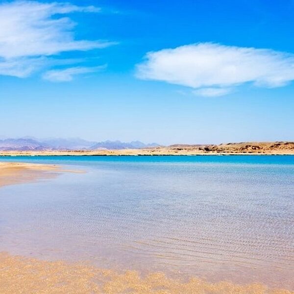 Ras Mohamed by bus half day Egypt top travel