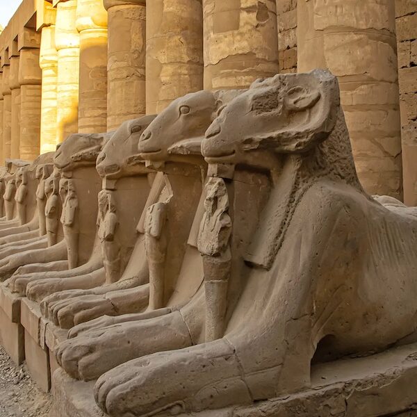 Egypt top travel luxor from sharm ( Vally of the king , queen Hatshepsut, karnak , Memnon Colossi )