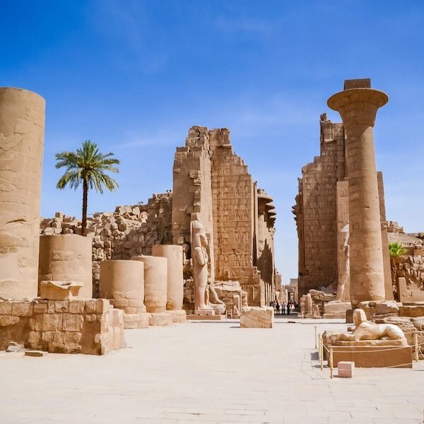 Egypt top travel luxor from sharm ( Vally of the king , queen Hatshepsut, karnak , Memnon Colossi )