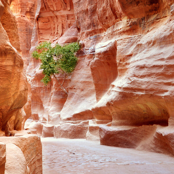 Egypt top travel petra al khazneh, wadi rum , colored Canyoun , aqaba from Sharm el sheikh