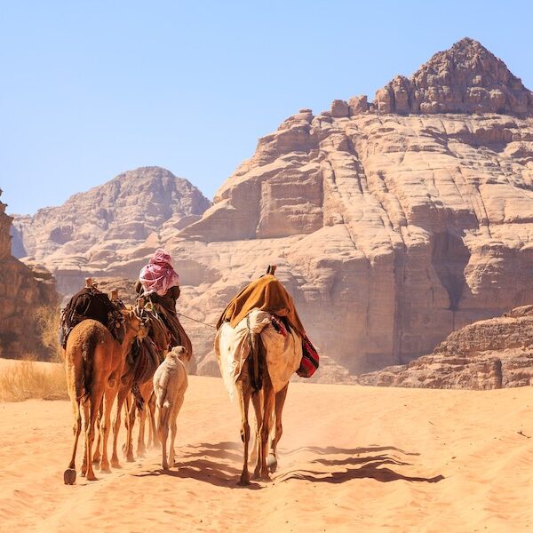Egypt top travel petra al khazneh, wadi rum , colored Canyoun , aqaba from Sharm el sheikh